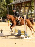 DSC08300 DSC08300