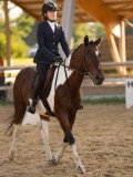DSC07639 DSC07639