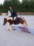 DSC05629 DSC05629