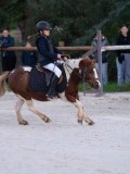 DSC05633 DSC05633