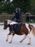 DSC05638 DSC05638