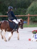 DSC05599 DSC05599