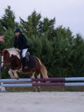 DSC05603 DSC05603
