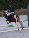 DSC05610 DSC05610