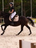 DSC09645 DSC09645