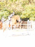 DSC08814
