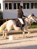 DSC05995 DSC05995