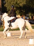 DSC05997 DSC05997