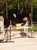 DSC00298 DSC00298
