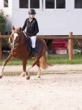 DSC06719 DSC06719