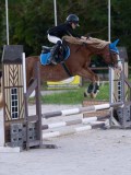 DSC05674 DSC05674