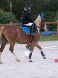DSC05678 DSC05678