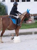 DSC05679 DSC05679