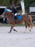 DSC05684 DSC05684