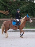 DSC05690 DSC05690