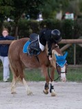DSC05695 DSC05695