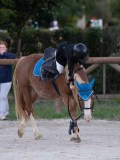 DSC05696 DSC05696