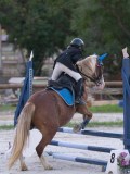 DSC05697 DSC05697