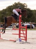 DSC00439 DSC00439