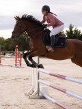 DSC00441 DSC00441