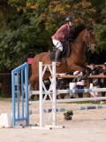 DSC00445 DSC00445