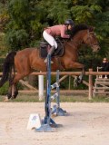 DSC00446 DSC00446