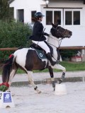 DSC05650 DSC05650