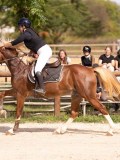 DSC08625 DSC08625