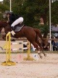 DSC00565 DSC00565