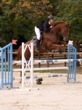 DSC00568 DSC00568