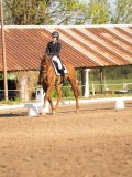 DSC02151