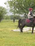 DSC09717