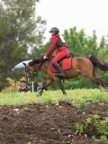 DSC09766