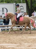 IMG_8689
