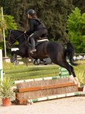 DSC00573