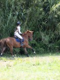 IMG_4927