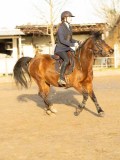 DSC04240
