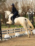 DSC04864 DSC04864