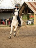 DSC04878 DSC04878