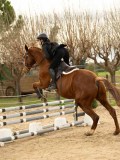 DSC05668 DSC05668
