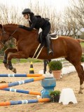 DSC05678 DSC05678