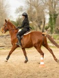 DSC05680 DSC05680