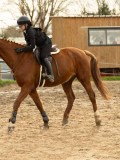 DSC05685 DSC05685