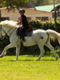 DSC02919