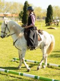 DSC03950