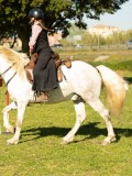 DSC03976
