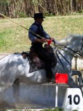 IMG_0029