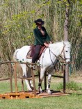 IMG_0174