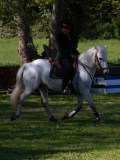 IMG_0184