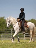 24_08336